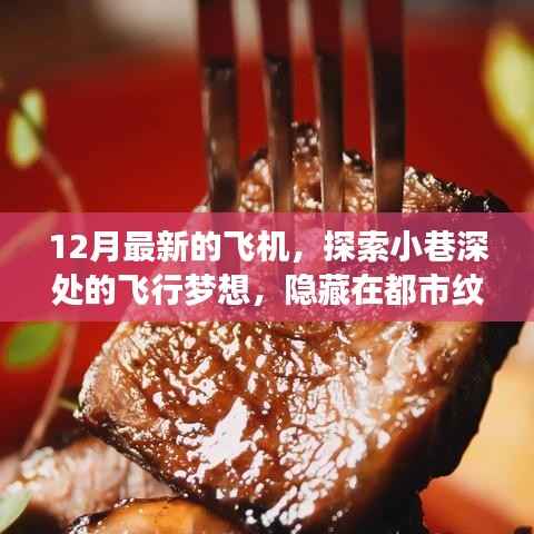 探索飞行梦想,都市小巷深处的特色飞机小店