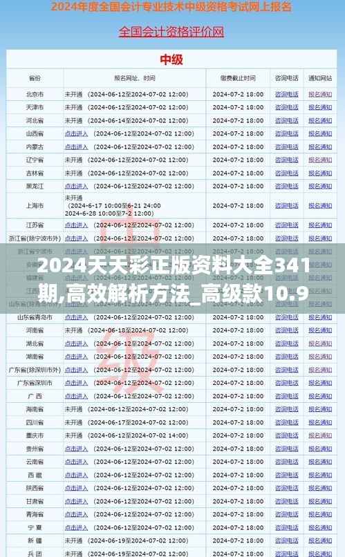 2024天天彩正版资料大全341期,高效解析方法_高级款10.928