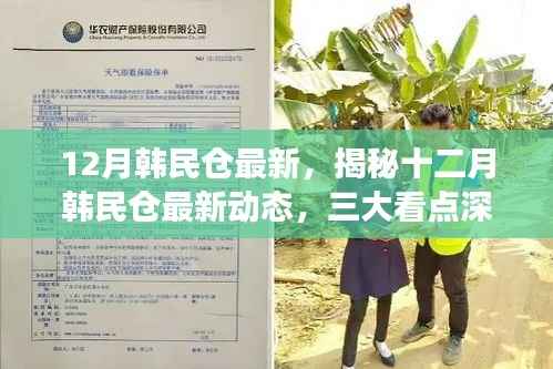 揭秘十二月韩民仓最新动态，三大看点深度解读速递