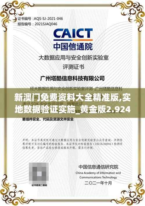 新澳门免费资料大全精准版,实地数据验证实施_黄金版2.924