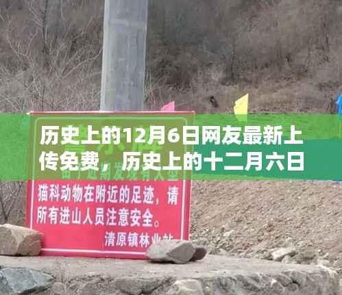 雅量高致 第4页