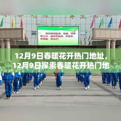 优秀课例 第508页