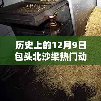 熊经鸟申 第3页