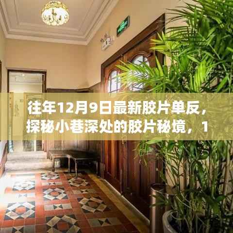 展翅欲飞 第3页