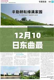 东曲最新新闻热议,深入探究某某观点的12月10日报告