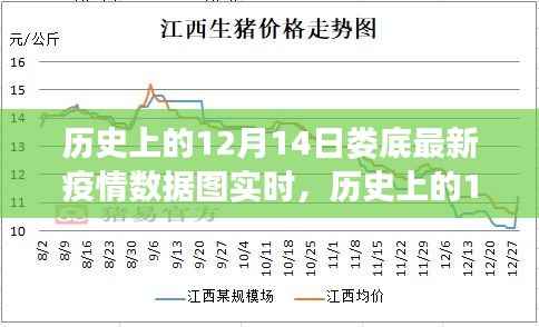 历史上的12月14日娄底最新疫情数据实时解读，特性、体验与目标用户分析全解析
