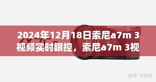 走马章台 第3页