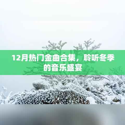 冬季音乐盛宴,12月热门金曲大合集