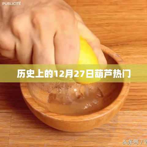 新闻动态 第311页