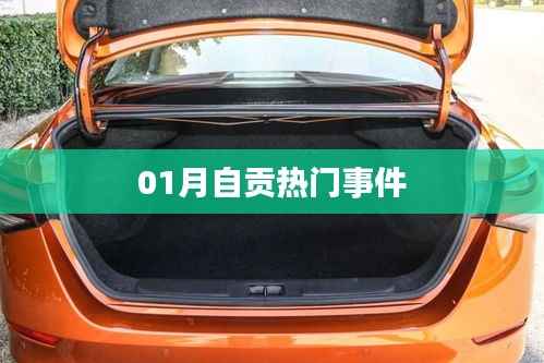 集腋成裘 第2页