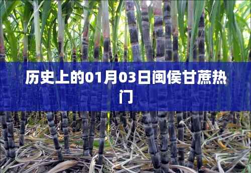 闽侯甘蔗历史，探寻一月三日的文化印记