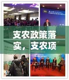 支农政策落实，支农项目 