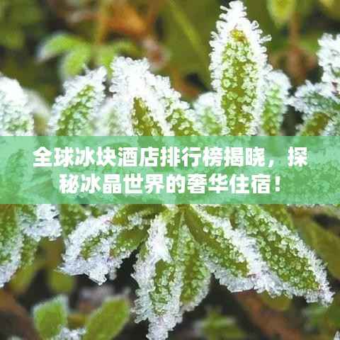 就棍打腿 第2页