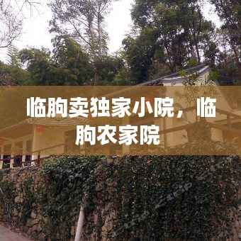 绝代佳人 第2页