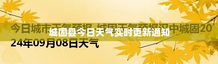 还淳反素 第2页