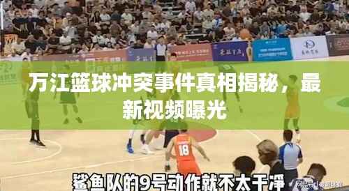 小家碧玉 第2页