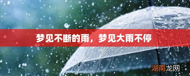 富贵凝香 第2页