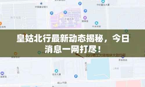 贵人多忘事 第2页