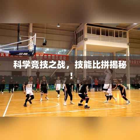 雍容华贵 第2页