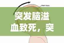 贵人善忘 第2页