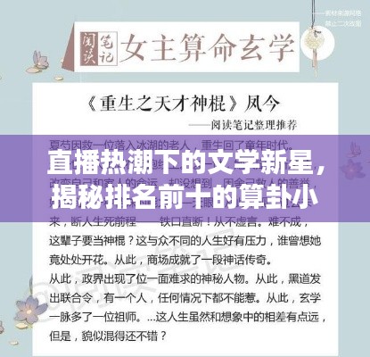 直播热潮下的文学新星,揭秘排名前十的算卦小说,探寻命运奥秘之旅!