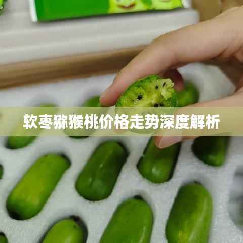 容光焕发 第2页