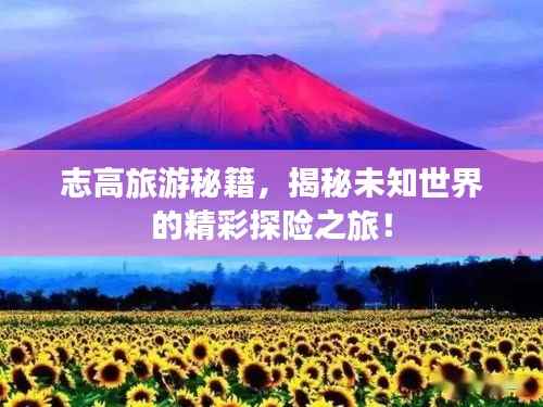 志高旅游秘籍，揭秘未知世界的精彩探险之旅！