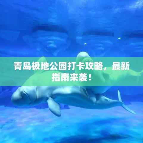 如鸟兽散 第2页