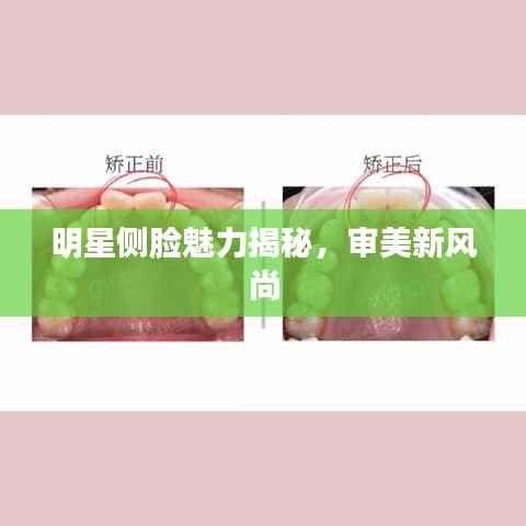 明星侧脸魅力揭秘，审美新风尚