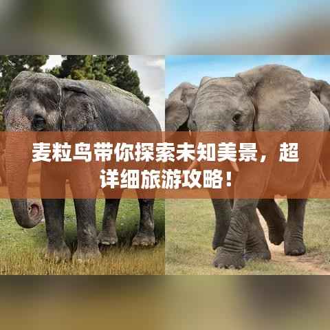 将陋就简 第2页