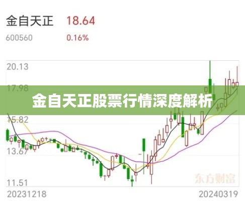 金自天正股票行情深度解析