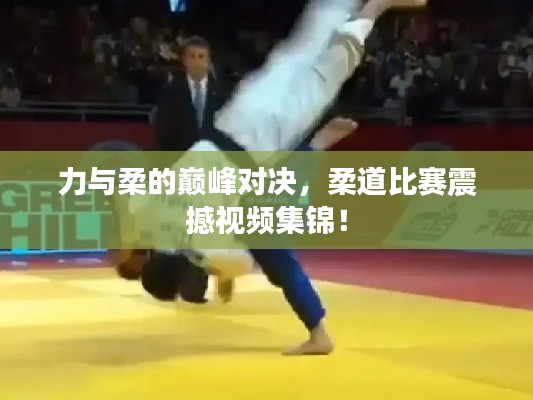 力与柔的巅峰对决,柔道比赛震撼视频集锦!