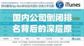 国内公司倒闭排名背后的深层原因探究，揭秘企业倒闭真相！