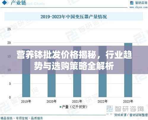 营养钵批发价格揭秘，行业趋势与选购策略全解析