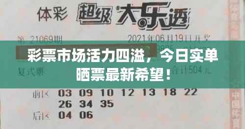 彩票市场活力四溢,今日实单晒票最新希望!