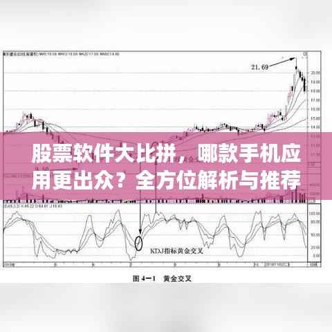 披肝沥胆 第2页