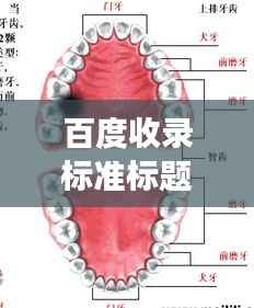 百度收录标准标题，智牙图片大放送，探索牙齿健康之美
